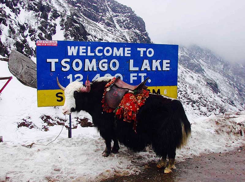  Sikkim Tour Package